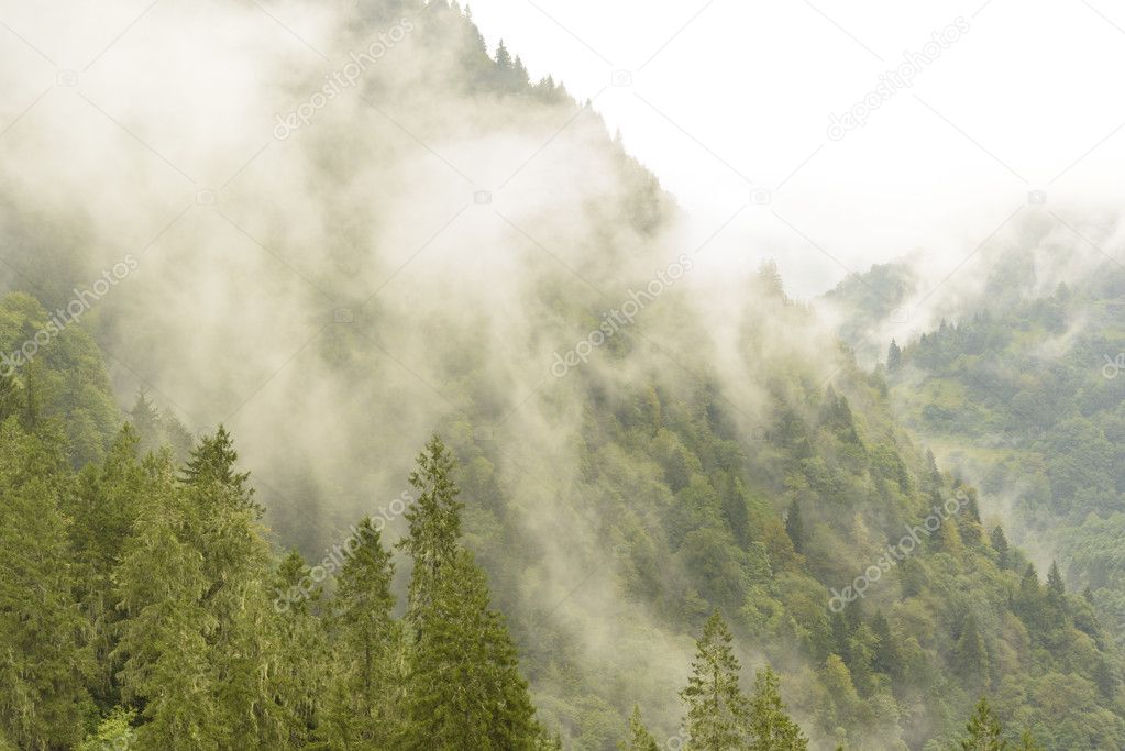 foggy day on mountains to Rize province