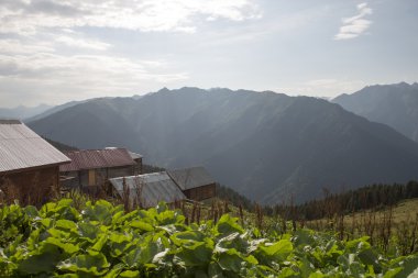 Türkiye'deki dağlar üzerinde güzel yayla