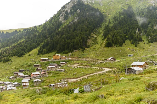 Türkiye'deki dağlar üzerinde güzel yayla