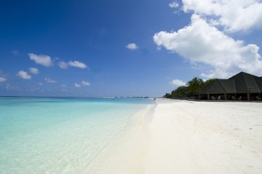 Güzel doğa ve deniz, Maldivler cennet Adaları