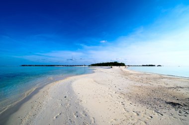 Güzel doğa ve deniz, Maldivler cennet Adaları