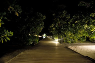 Güzel doğa ve deniz, Maldivler cennet Adaları