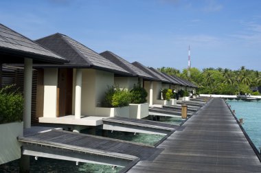 Güzel doğa ve deniz, Maldivler cennet Adaları