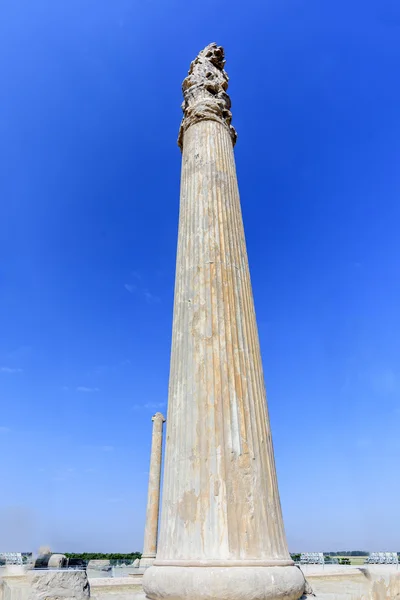 Monuments historiques à persapolis, Shiraz, Iran. 13 septembre 2016 . — Photo