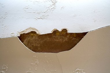 Duvardaki kırık alçı, doku ve küflenme