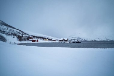 Kuzey Norveç, Tromso 'da karla kaplı bir kıyı şeridi boyunca kısmen donmuş bir liman. Kış bulutları, sanayi binaları ve demirlemiş teknelerle Kuzey Kutbu 'nda asılı kaldıkça sularda buz formları yüzeye çıkıyor..