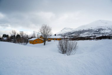 Karla kaplı yolu denize, geleneksel evleri ve açık mavi gökyüzünün altındaki dağları çevreleyen küçük bir kıyı köyünün kış manzarası. Soğuk iklim ve kırsal mimari ile barışçıl İskandinav manzarası.