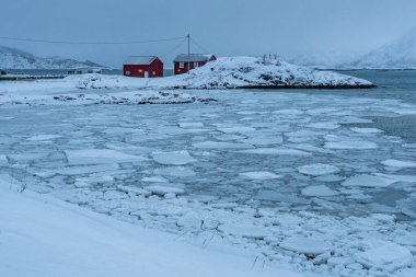 Kırmızı ahşap evler donmuş bir kıyı şeridi boyunca uzanan buz tabakası ve arka planda karla kaplı dağlarla dururlar. Sessiz kış manzarası, bulutlu bir gökyüzünün altında soğuk ve uzak bir Kuzey veya Kuzey Kutbu köyünün atmosferini yakalar.