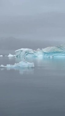 Görkemli bir balina Grönland 'ın soğuk ve berrak sularında yüzer. Uzak bir kutup ortamında yakalanan bu görüntüler, buzlu denizler ve el değmemiş doğayla çevrili doğal ortamındaki deniz yaban hayatının güzelliğini vurguluyor.