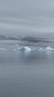 Görkemli bir balina Grönland 'ın soğuk ve berrak sularında yüzer. Uzak bir kutup ortamında yakalanan bu görüntüler, buzlu denizler ve el değmemiş doğayla çevrili doğal ortamındaki deniz yaban hayatının güzelliğini vurguluyor.