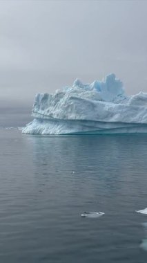 Görkemli bir balina Grönland 'ın soğuk ve berrak sularında yüzer. Uzak bir kutup ortamında yakalanan bu görüntüler, buzlu denizler ve el değmemiş doğayla çevrili doğal ortamındaki deniz yaban hayatının güzelliğini vurguluyor.