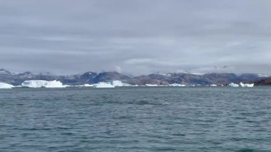 Görkemli bir balina Grönland 'ın soğuk ve berrak sularında yüzer. Uzak bir kutup ortamında yakalanan bu görüntüler doğal ortamındaki deniz yaban hayatının güzelliğini vurguluyor.
