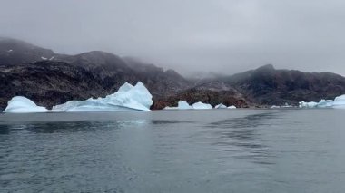 Arktik Buzullar ve Kambur Balinalar Grönland 'daki buzlu sularda.