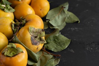 Koyu arkaplanda çiğ hurma olan dalı kapat