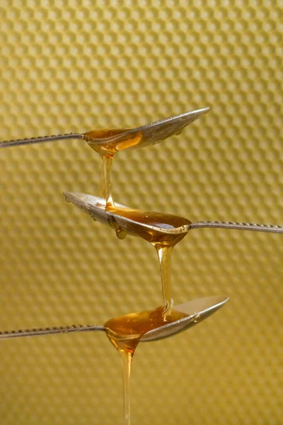 Ложки Сырым Медом Пчелином Фоне Концепция Здорового Питания — стоковое фото