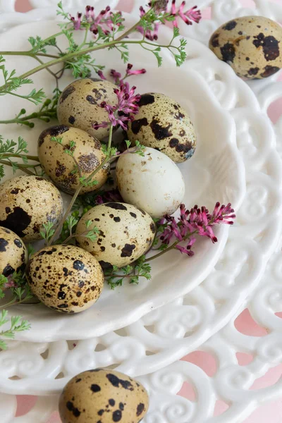 Перепелині Яйця Дикі Квіти Білій Старовинній Тарілці — стокове фото