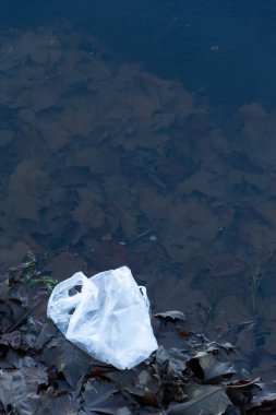 Doğadaki plastik kirliliği. Ekoloji kirliliği.