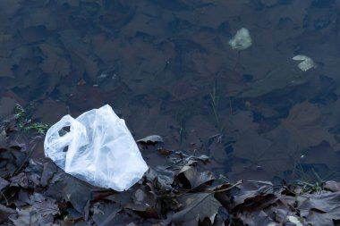 Doğadaki plastik kirliliği. Ekoloji kirliliği.