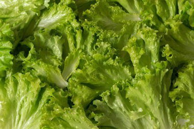 Marul arka planda kalır, sağlıklı sebze yemekleri.