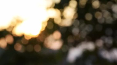 Gün batımı ışığı bokeh görüntüsü. Odaklanmamış altın arkaplan