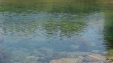 Sakin nehir suyu akıntısı, rahatlatıcı ve huzurlu nehir seli