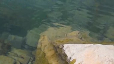 Sakin nehir suyu akıntısı, rahatlatıcı ve huzurlu nehir seli