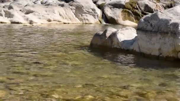 Lugn Ström Flodvatten Avkopplande Och Fridfull Flodöversvämning — Stockvideo
