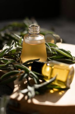 Adaçayı yapraklı temel yağ. Hijyen banyo ürünü. Sağlık terapisi yenilenmesi