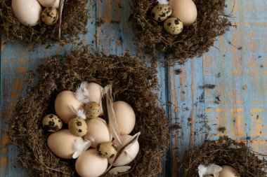 Karanlık arka planda bıldırcın ve tavuk yumurtası barındıran kavramsal durgun yaşam.