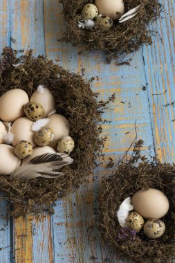 Karanlık arka planda bıldırcın ve tavuk yumurtası barındıran kavramsal durgun yaşam.