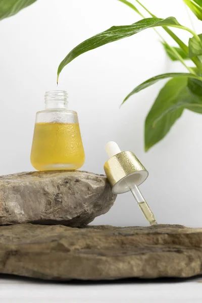 Naturalny Olejek Eteryczny Homeopatia Lekarstwo Zdrowy Produkt Kosmetyczny — Zdjęcie stockowe