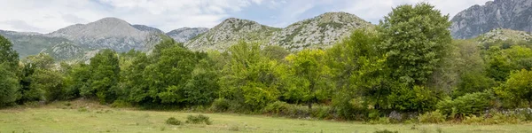 Ruhige Berglandschaft Albanische Natur — Stockfoto