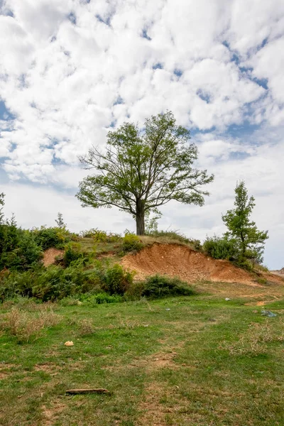Samotne Drzewo Wzgórzu Wiejski Krajobraz Charakter Albański — Zdjęcie stockowe
