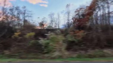 Tarihi Sperryville, Virginia 'ya doğru sakin bir yolculuk yapın. Şehrin göbeğinde canlı şehir binaları ve enfes restoranlar sergileyin..