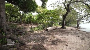 Orta Amerika 'da yemyeşil ağaçlar ve doğa ile çevrili Nikaragua Gölü' nün yanındaki kumsalda sakin bir kano manzarası..