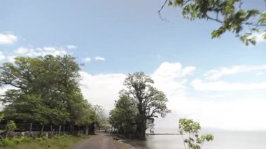 Ometepe Adası 'nda, Nikaragua' da doğa ve yol boyunca Nikaragua Gölü 'nün muhteşem manzarasını tecrübe edin..