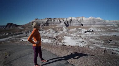 Olgun bir kadın, açık gökyüzünün altındaki Taşlaşmış Orman Ulusal Parkı 'nda yürürken Mavi Mesa bölgesini keşfediyor..