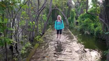 Olgun bir kadın, Nikaragua 'daki Ometepe Adası' ndaki Charco Verde parkında sulak bir patikayı keşfediyor..
