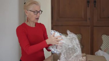 Olgun bir kadın, kalıtsal porselenlerini içeren bir kutuyu dikkatlice açar. Aile hikayelerini ve çocukluk anılarını hatırlar..