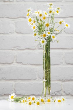 A bouquet of daisies in a glass, narrow vase on a white table against a background of a white brick wall. Vertical frame.