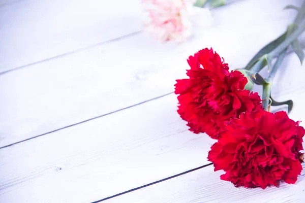 Fresh Spring Red Flowers Blue Painted Wooden — Stock Photo, Image