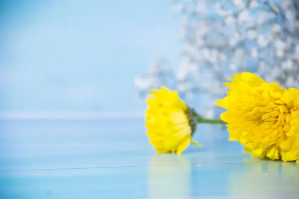 Żółte Kwiaty Niebieskim Drewnianym — Zdjęcie stockowe