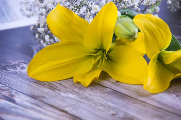 Flores Amarelas Primavera Frescas Madeira Pintada Azul — Fotografia de Stock