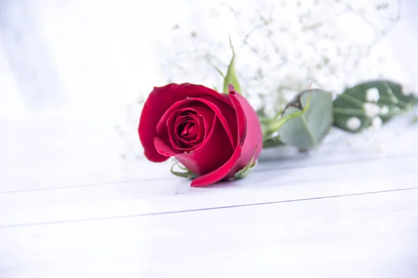 Rose Flower White Blured Wooden Background — Stock Photo, Image