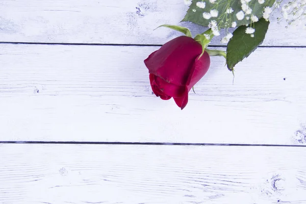 Rose Flower White Blured Wooden Background — Stock Photo, Image