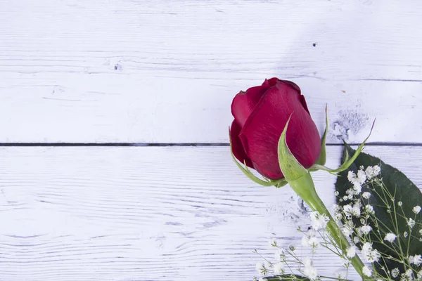 Rose Flower White Blured Wooden Background — Stock Photo, Image