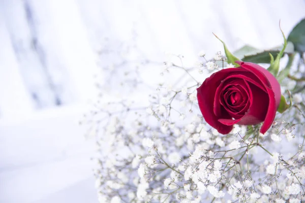 Rose Flower Valentine Day Love Wooden Background — Stock Photo, Image