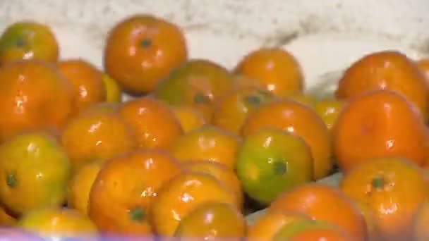 Mandarinen in der Raffinerie — Stockvideo