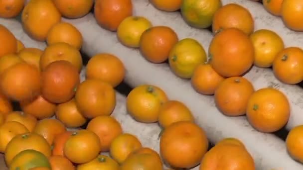 Tangerinas na refinaria — Vídeo de Stock