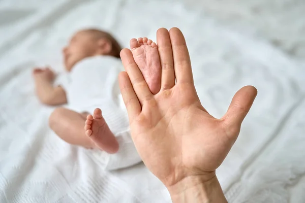 Babys pés nas mãos dos pais, o pé de um bebê recém-nascido, um bebê pequeno jaz no berço. — Fotografia de Stock